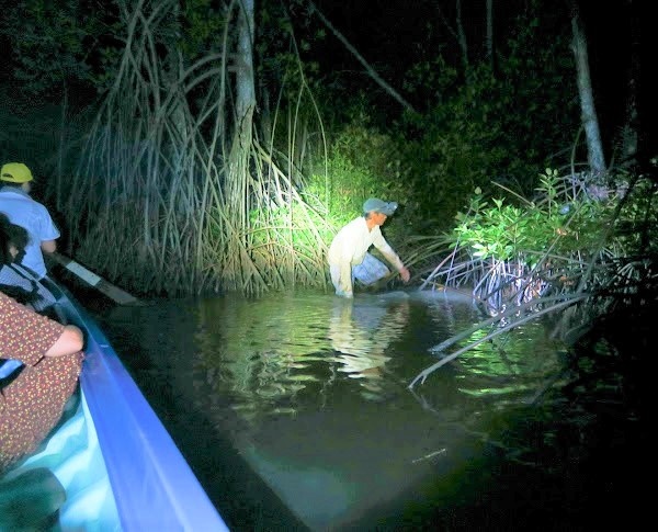 trai nghiem bat cua, cau ca, tham quan vuong tom, xuyen rung ngap man, ngam binh minh hoang hon